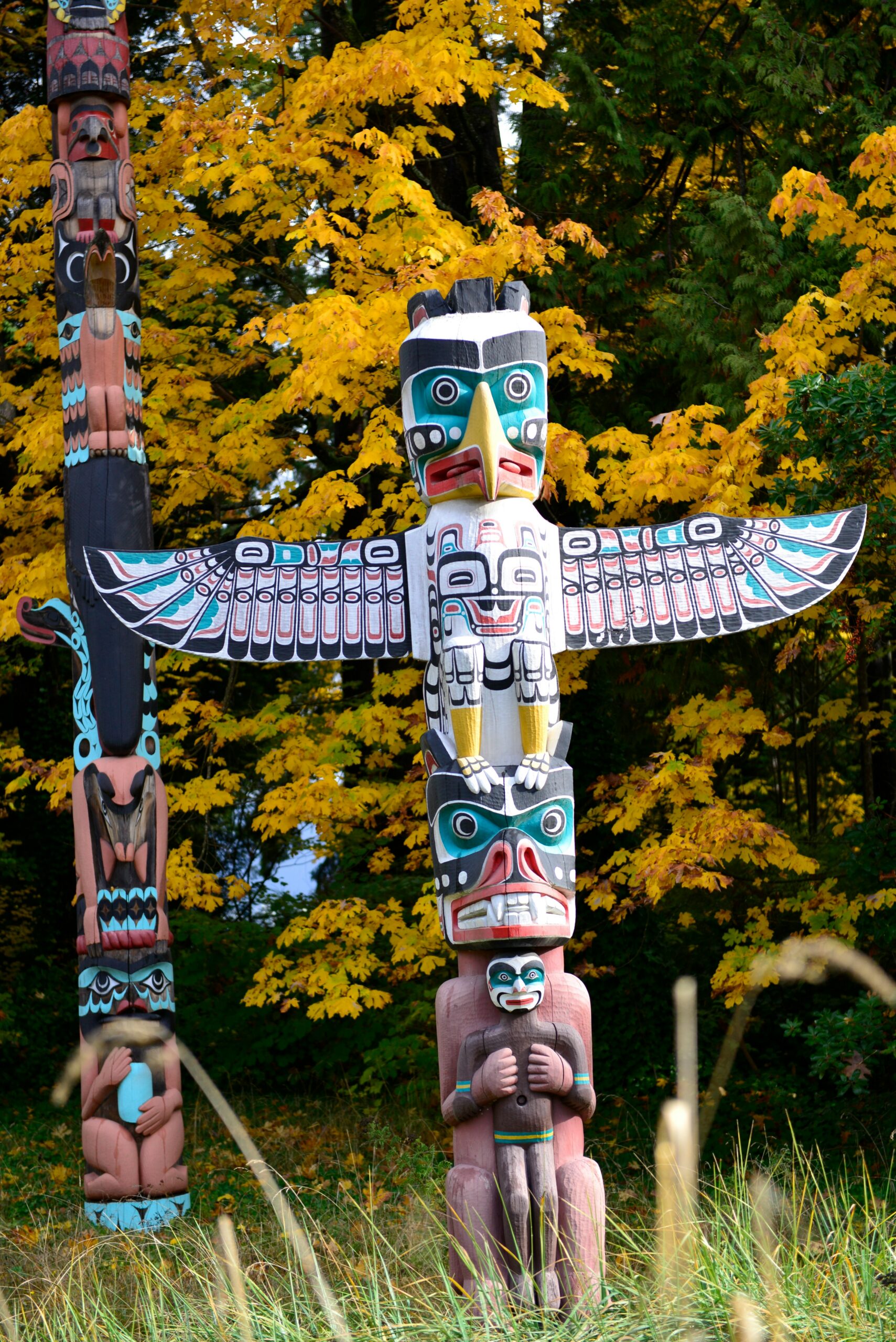 Our Commitment as an Indigenous Organization anthony maw spvfwkf sho unsplash