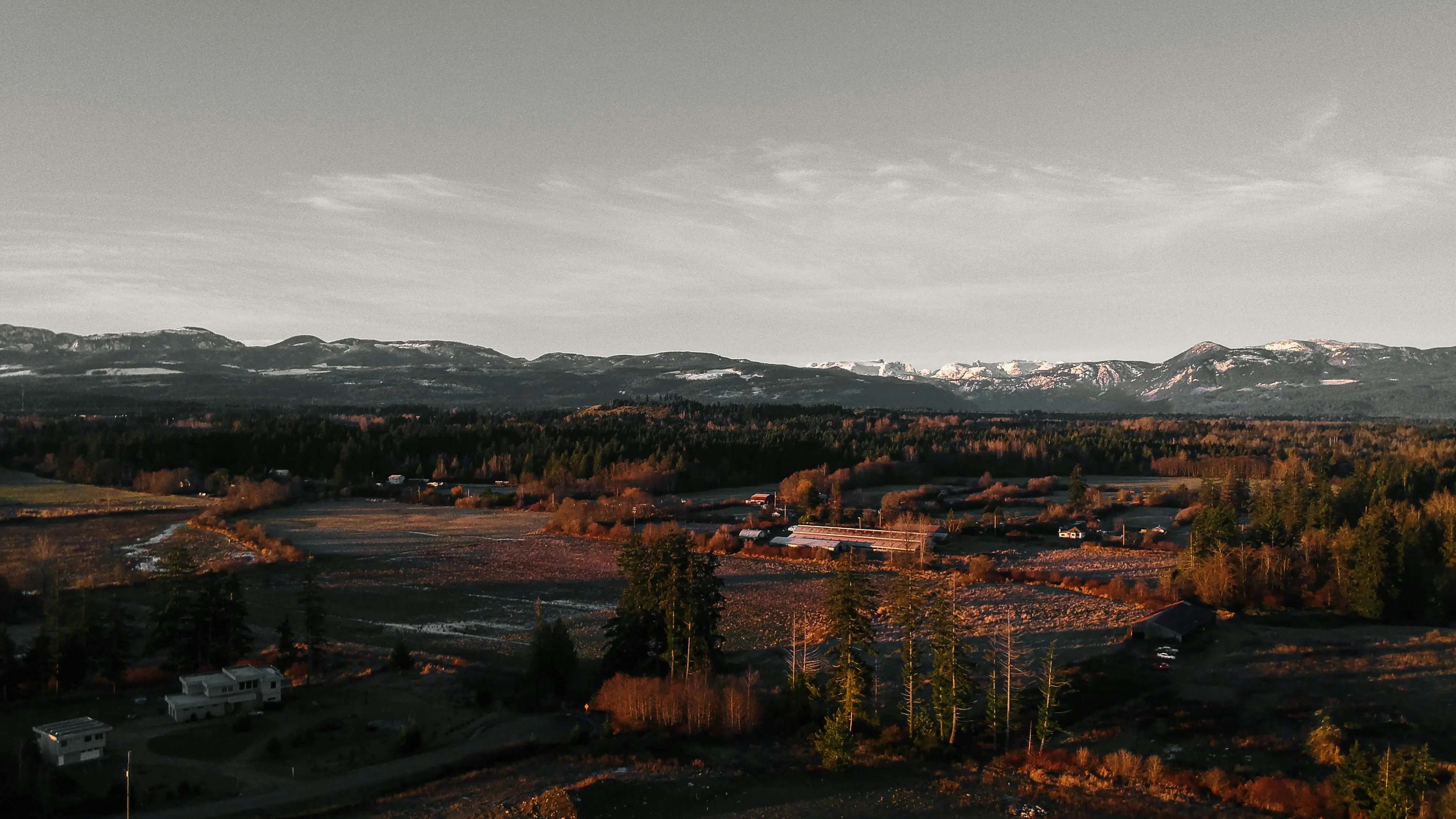 cole freeman k1rvp0sd3h8 unsplash