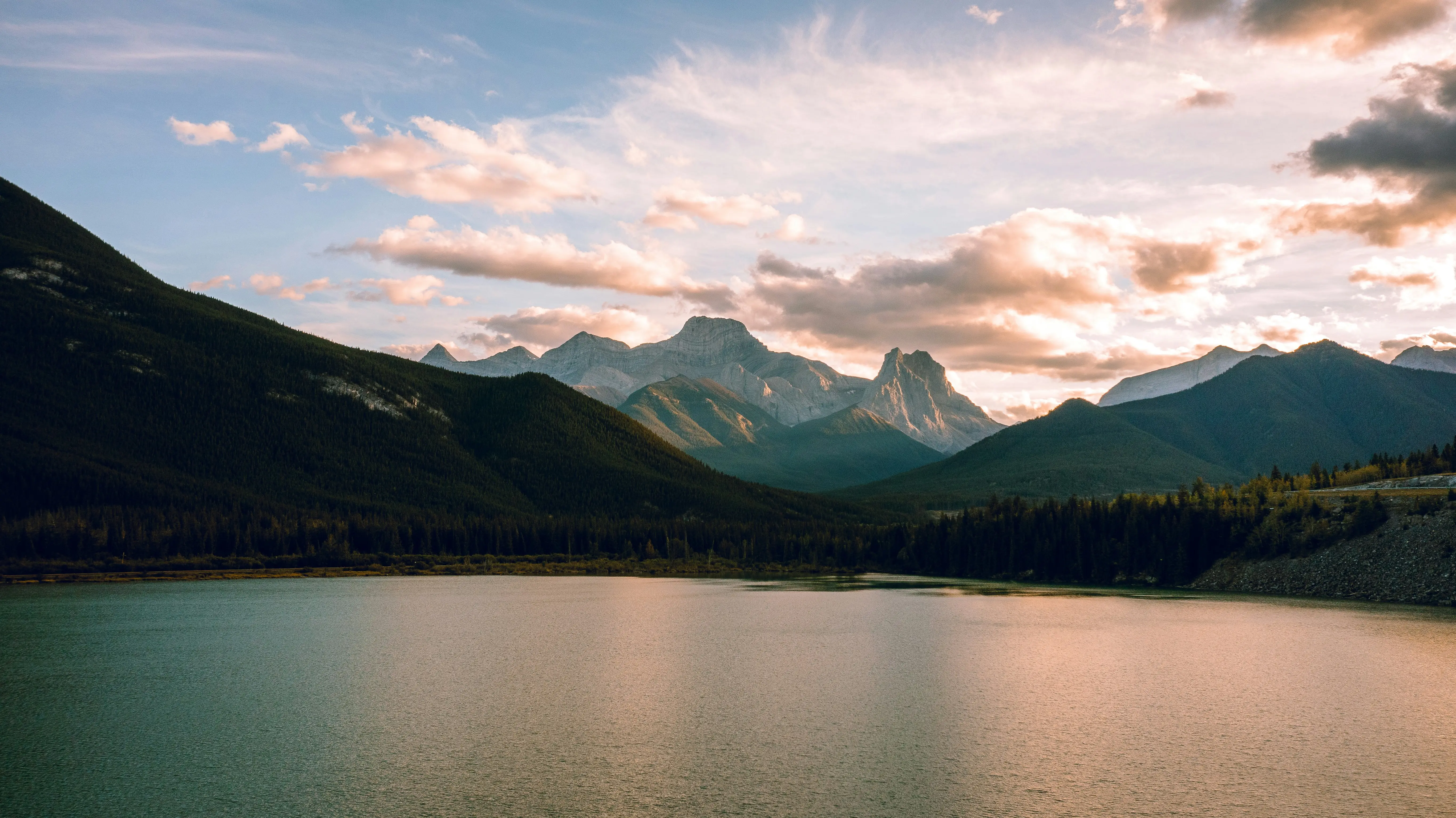 devon hawkins bnqm4tlgkzm unsplash