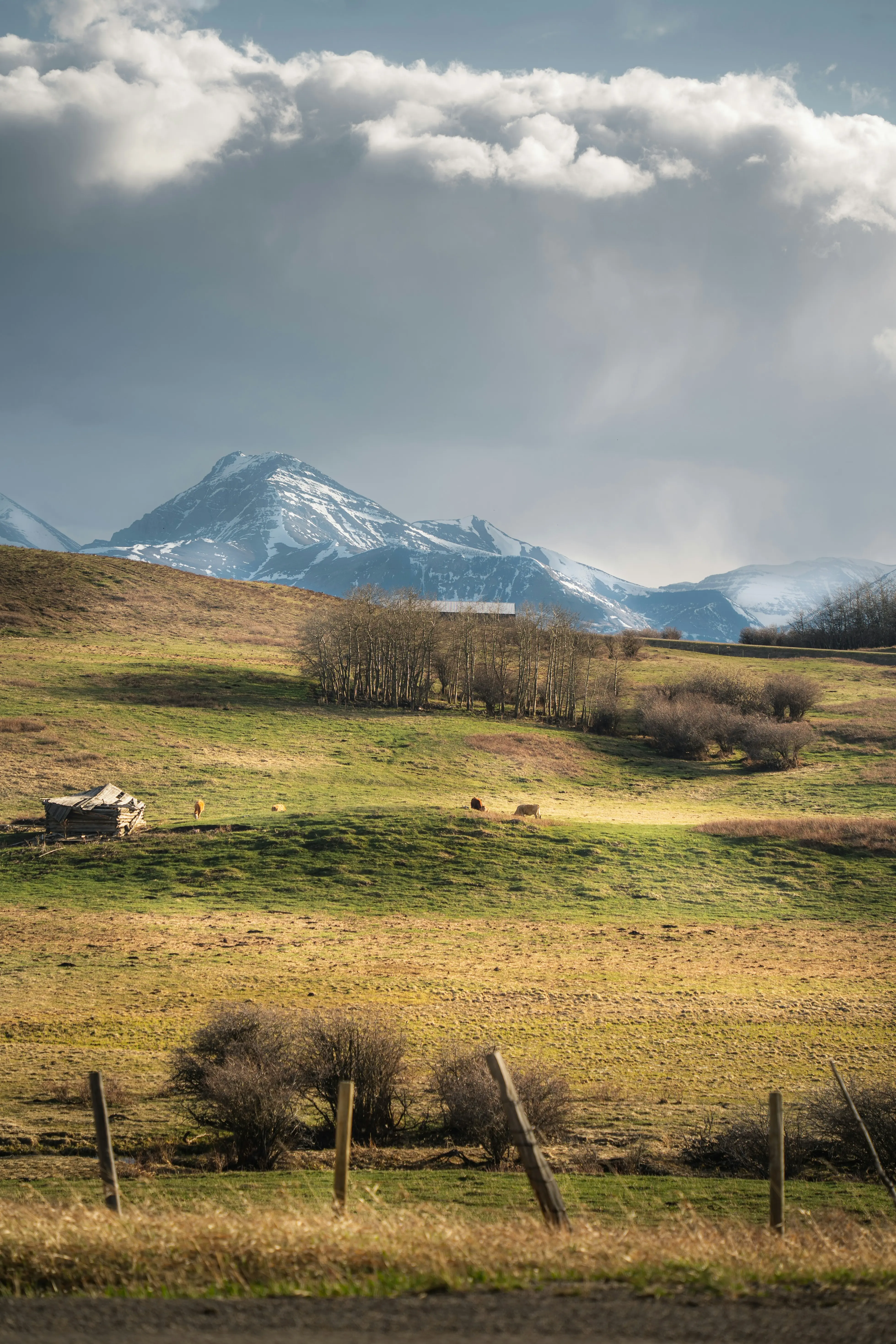 igor kyryliuk tetiana kravchenko khpl2nonj 4 unsplash