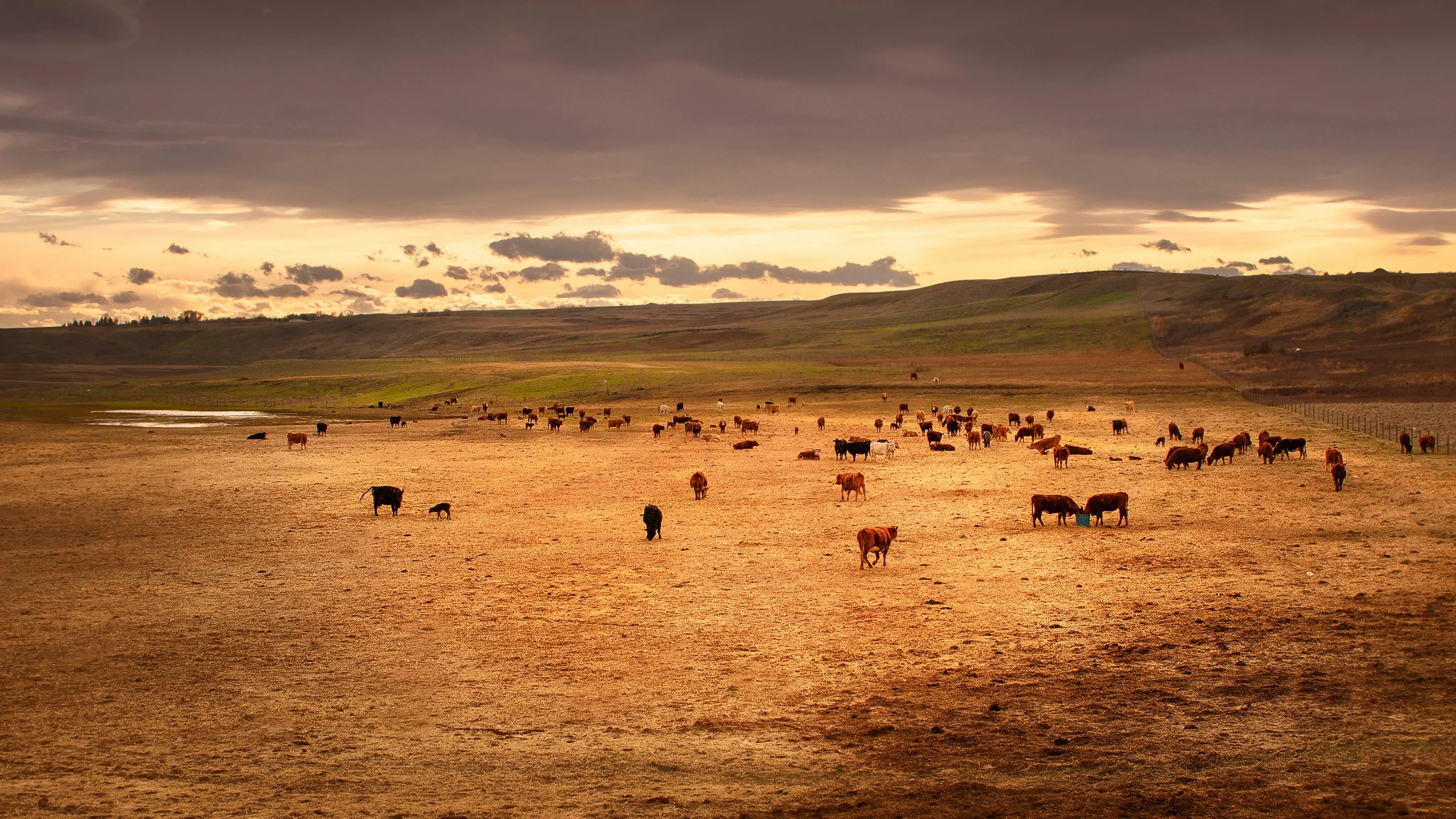 ric matkowski ty5slrqgmry unsplash